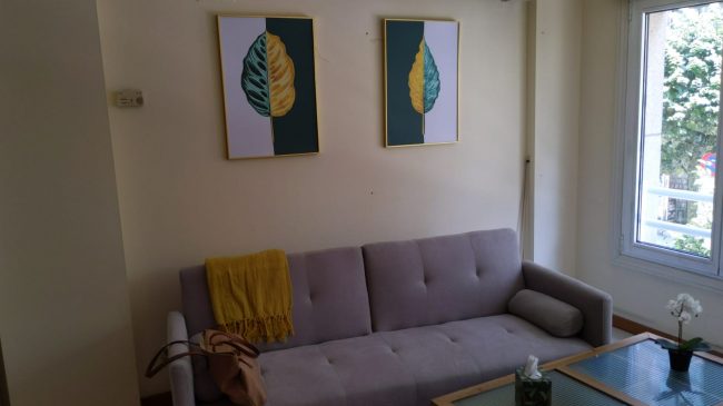 imaxe xral pardiñas